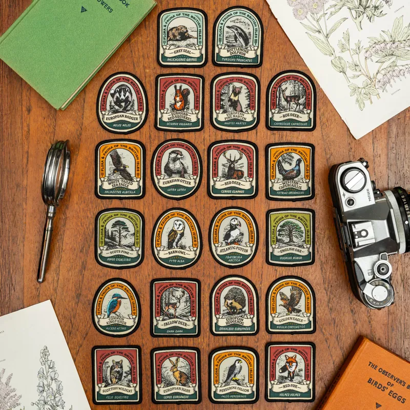 Eurasian Red Squirrel Patch - Adventure Patch Co.-3